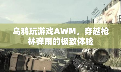 烏鴉AWM穿越槍林彈雨，極致游戲挑戰(zhàn)