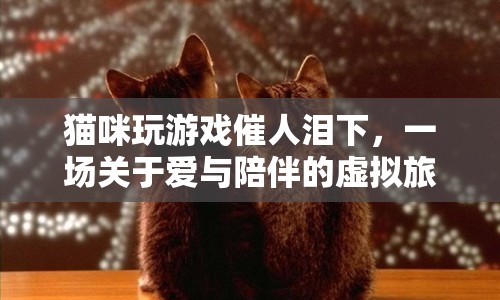 貓咪與游戲，一場關(guān)于愛與陪伴的虛擬旅程
