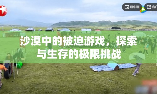 沙漠中的極限挑戰(zhàn)，被迫游戲與生存探索