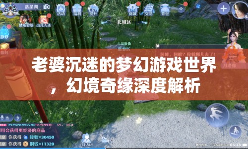 幻境奇緣，老婆沉迷的夢幻游戲世界深度解析