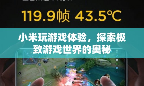 小米游戲世界，探索極致游戲體驗的奧秘