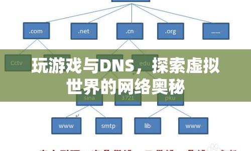 探索虛擬世界的網(wǎng)絡(luò)奧秘，游戲與DNS的奇妙結(jié)合