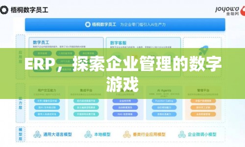 ERP，數(shù)字時(shí)代的商業(yè)管理新探索