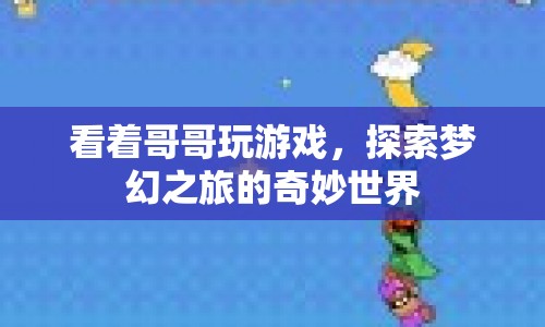 哥哥的游戲之旅，探索夢(mèng)幻世界的奇妙冒險(xiǎn)