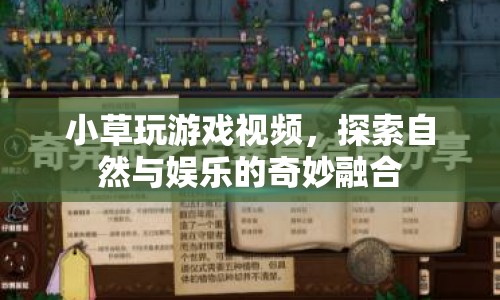探索自然與娛樂，小草玩游戲視頻奇妙融合
