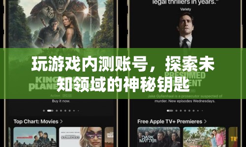 探索未知領(lǐng)域的神秘鑰匙，游戲內(nèi)測(cè)賬號(hào)的奇妙之旅