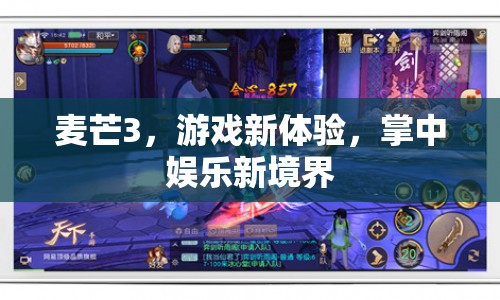 麥芒3，掌中娛樂(lè)新境界，開啟游戲新體驗(yàn)