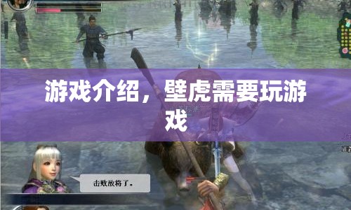 壁虎的游戲挑戰(zhàn)，探索與冒險(xiǎn)之旅