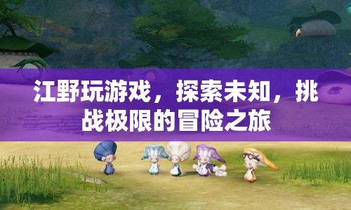 江野的冒險(xiǎn)之旅，探索未知，挑戰(zhàn)極限