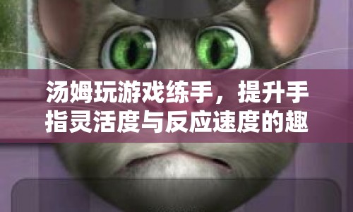 湯姆的趣味游戲之旅，提升手指靈活度與反應(yīng)速度