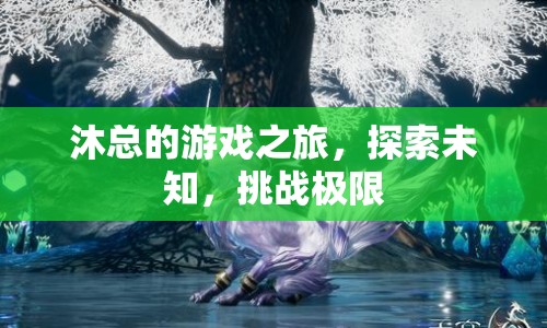 沐總的游戲之旅，探索未知，挑戰(zhàn)極限