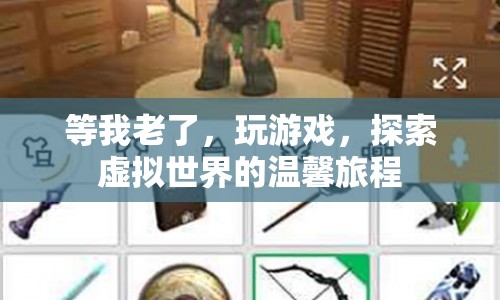 探索虛擬世界的溫馨旅程，老年游戲之旅