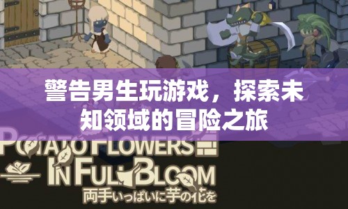 探索未知領(lǐng)域的冒險(xiǎn)之旅，男生游戲警告