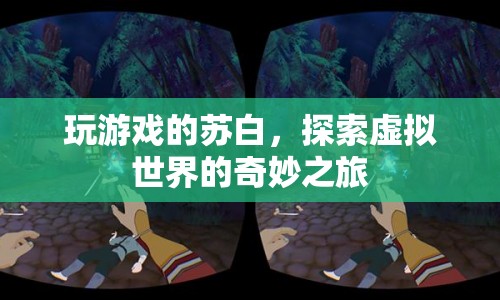 蘇白游戲之旅，探索虛擬世界的奇妙冒險(xiǎn)