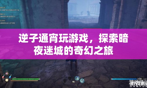 逆子夜探暗夜迷城，奇幻游戲之旅