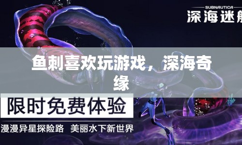 魚刺的深海奇緣，游戲之旅