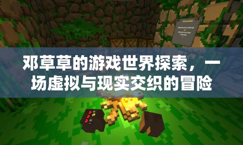 鄧草草，虛擬與現(xiàn)實(shí)交織的冒險(xiǎn)之旅