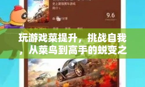 從菜鳥到高手，挑戰(zhàn)自我，提升游戲技能