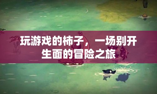 柿子玩游戲，開啟一場別開生面的冒險之旅