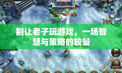 別讓老子玩游戲，智慧與策略的激烈較量