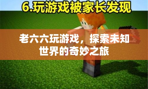 老六六探索未知世界的奇妙之旅