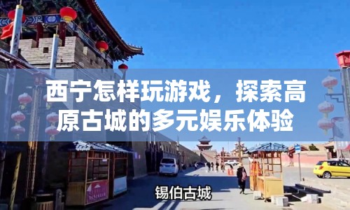 探索西寧多元娛樂(lè)，高原古城的游戲之旅