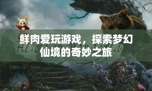 鮮肉探索夢幻仙境，奇妙之旅開啟