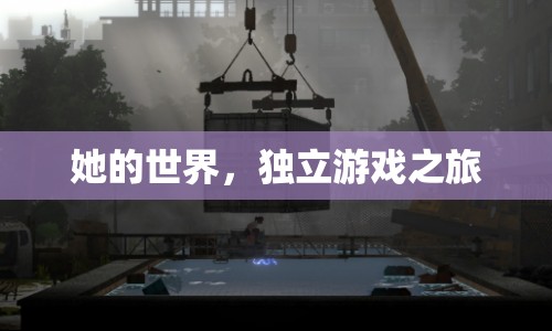 她的世界，獨(dú)立游戲之旅