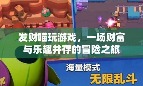 發(fā)財(cái)喵的財(cái)富冒險(xiǎn)之旅，游戲與樂(lè)趣的雙重盛宴
