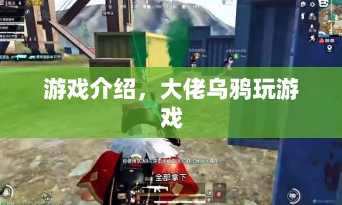 大佬烏鴉的游戲之旅，探索未知，挑戰(zhàn)極限