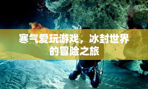 冰封世界的冒險(xiǎn)之旅，寒氣愛玩游戲