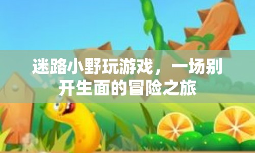小野的冒險(xiǎn)之旅，迷路中的游戲盛宴