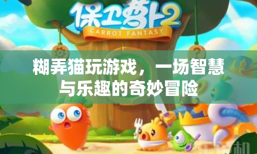 糊弄貓游戲，智慧與樂趣的奇妙冒險之旅