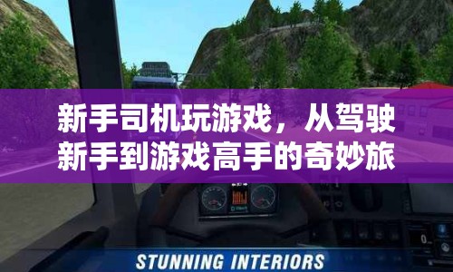 新手司機(jī)到游戲高手，奇妙旅程的駕駛與游戲之旅