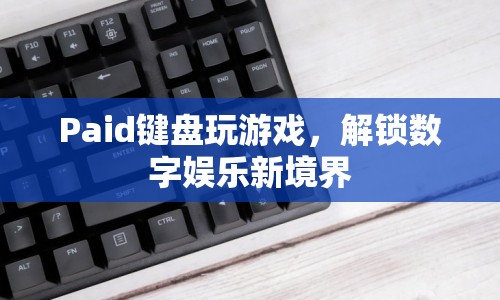 付費(fèi)鍵盤(pán)解鎖數(shù)字娛樂(lè)新境界