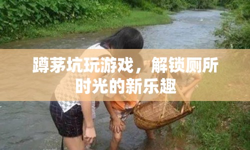 廁所時(shí)光新樂(lè)趣，蹲茅坑玩游戲