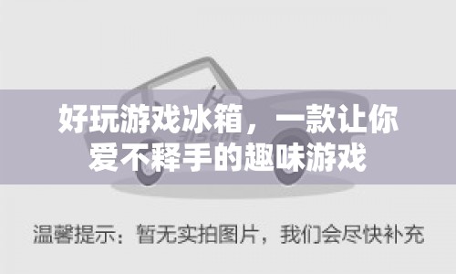 好玩游戲冰箱，趣味游戲讓你愛(ài)不釋手
