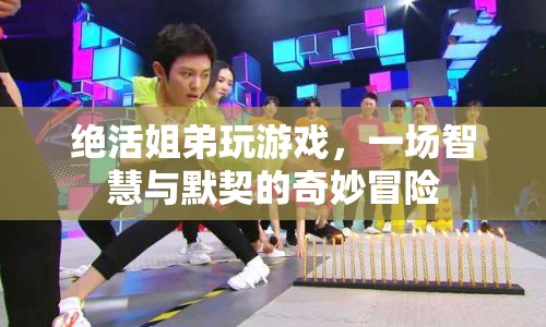 絕活姐弟，智慧與默契的奇妙冒險(xiǎn)