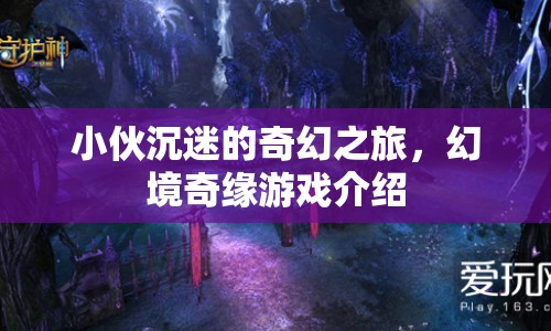 幻境奇緣，小伙的奇幻冒險(xiǎn)之旅