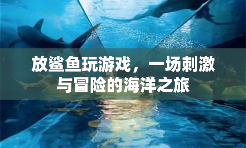 放鯊魚(yú)玩游戲，一場(chǎng)刺激與冒險(xiǎn)的海洋之旅