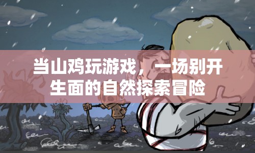 山雞游戲，自然探索冒險之旅