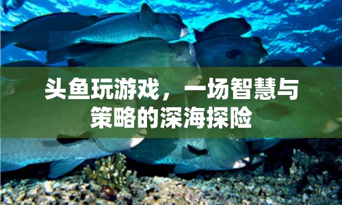 頭魚智慧深海探險，策略與智慧的碰撞