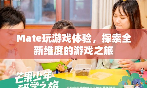 探索全新維度的游戲之旅，Mate玩游戲體驗