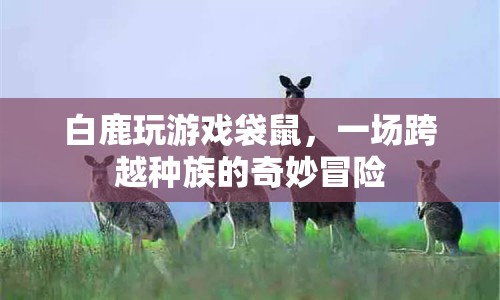 白鹿與袋鼠的奇妙冒險(xiǎn)，跨越種族的友誼