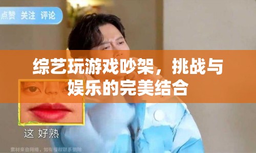 綜藝游戲中吵架，挑戰(zhàn)與娛樂的碰撞