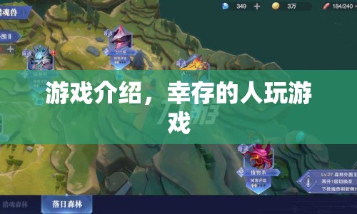 幸存者游戲，挑戰(zhàn)極限，尋找最后的生存之道