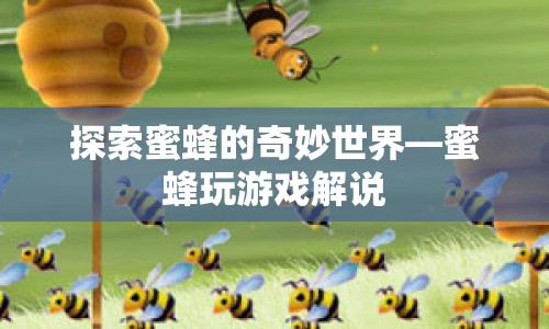 探索蜜蜂的奇妙世界，揭秘蜜蜂的趣味游戲
