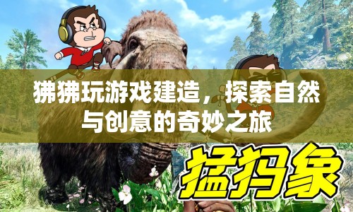 狒狒游戲，探索自然與創(chuàng)意的奇妙之旅