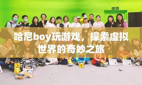 哈尼boy的虛擬世界探險之旅