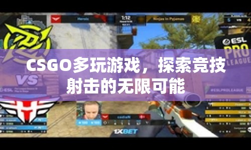 CSGO，探索競(jìng)技射擊的無(wú)限可能